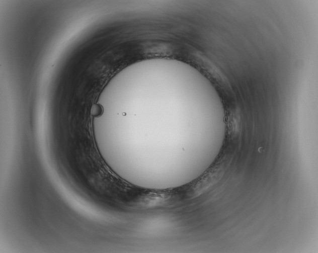 X0000112020764200908171430