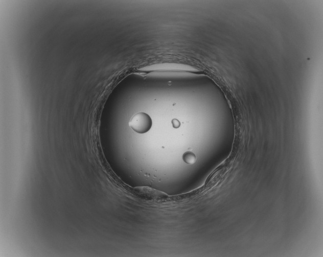 X0000112020769200908171429