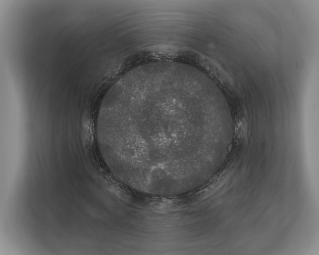 X0000112020772200908171429