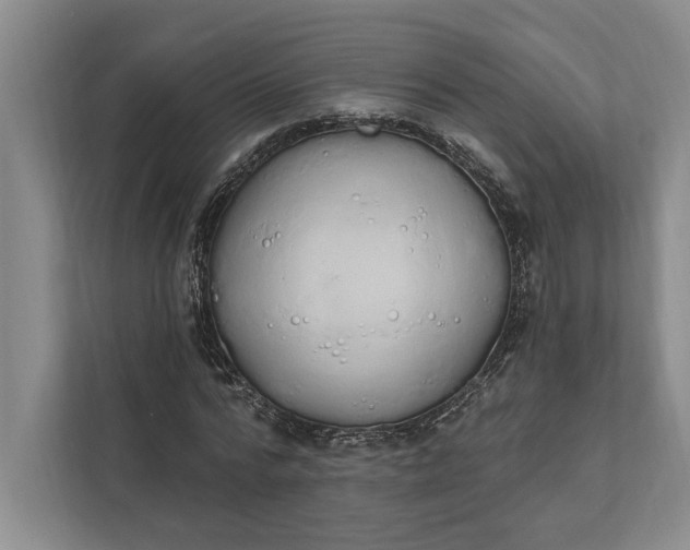 X0000112020776200908171429