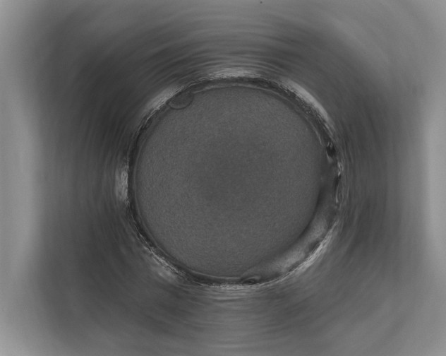 X0000112020777200908171429