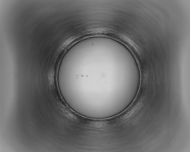 X0000112020778200908171429