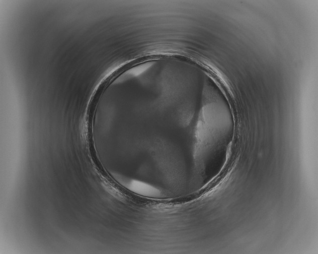 X0000112020779200908171429