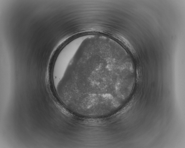 X0000112020780200908171429