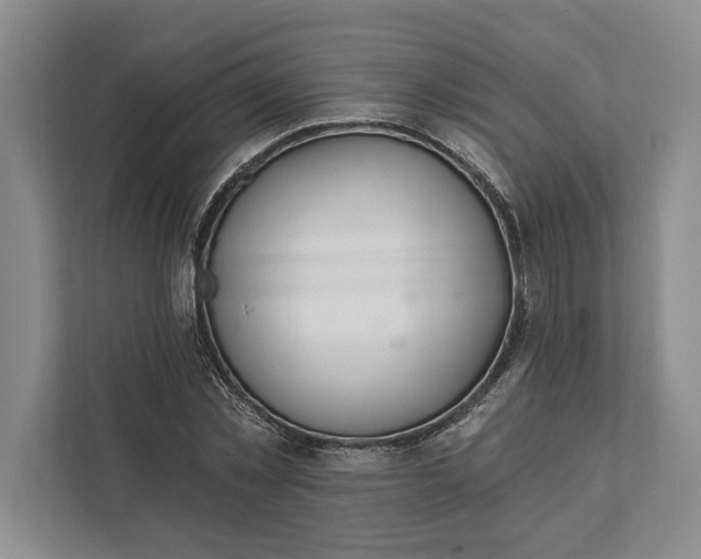 X0000112020781200908171429