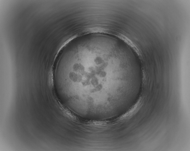 X0000112020782200908171429