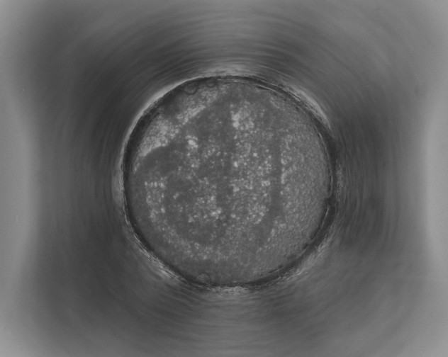 X0000112020784200908171429