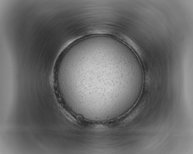 X0000112020787200908171429