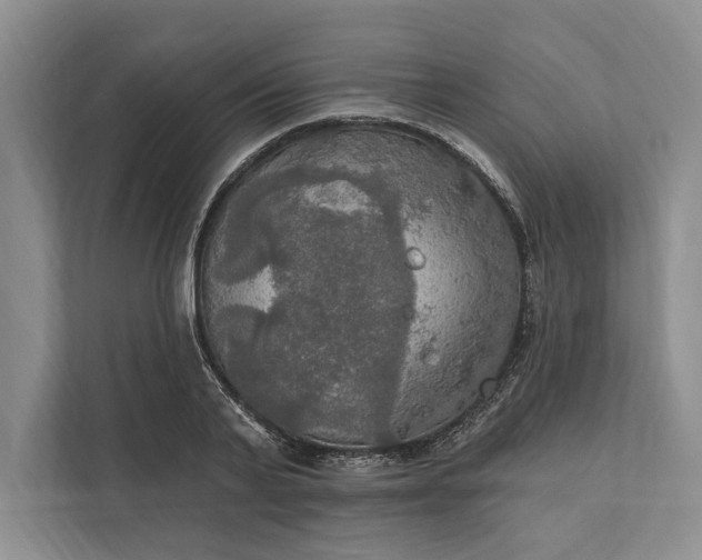 X0000112020791200908171429