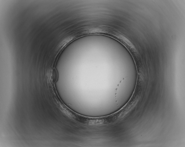 X0000112020793200908171429