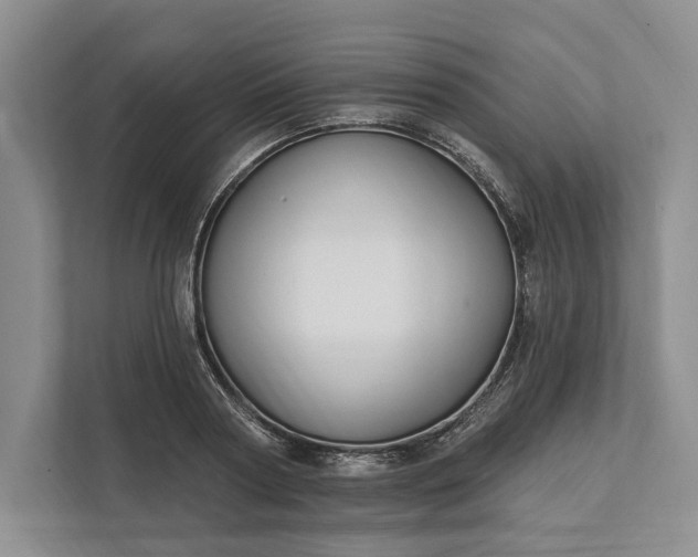 X0000112020794200908171429