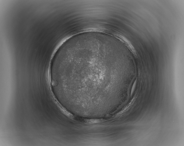 X0000112020796200908171429