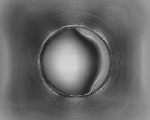 X0000112020797200908171429