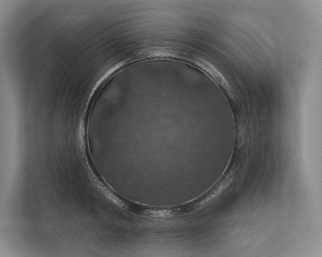 X0000112020798200908171429