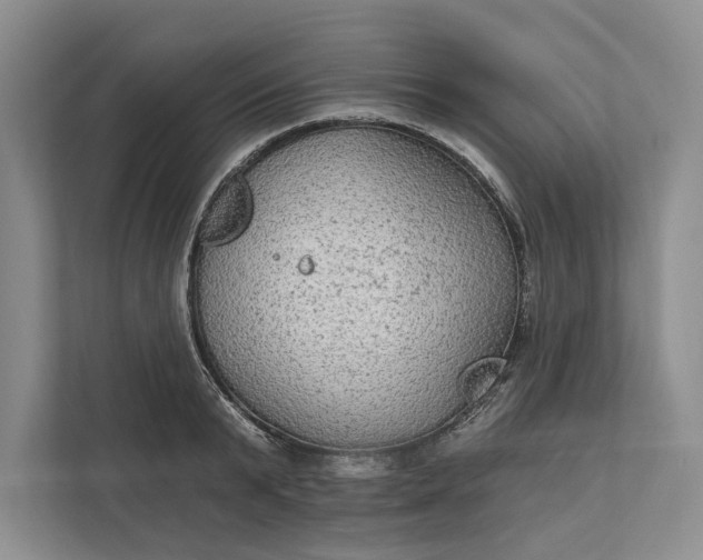 X0000112020799200908171429