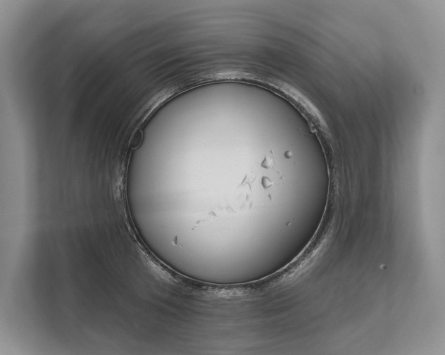 X0000112020801200908171429