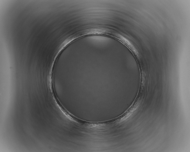 X0000112020802200908171429