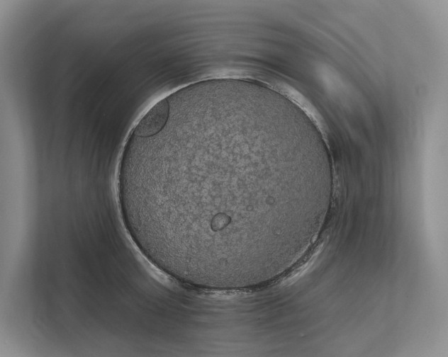 X0000112020803200908171429