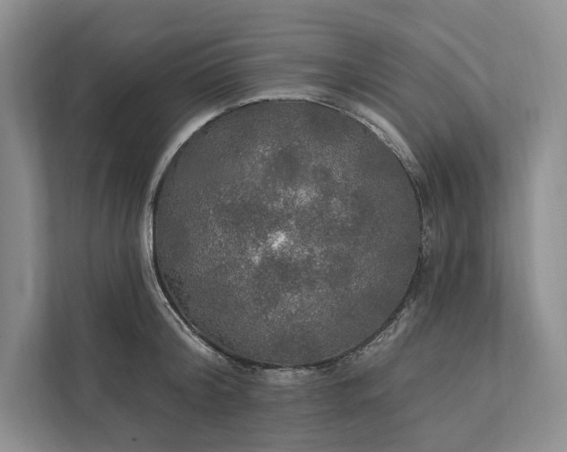 X0000112020804200908171429