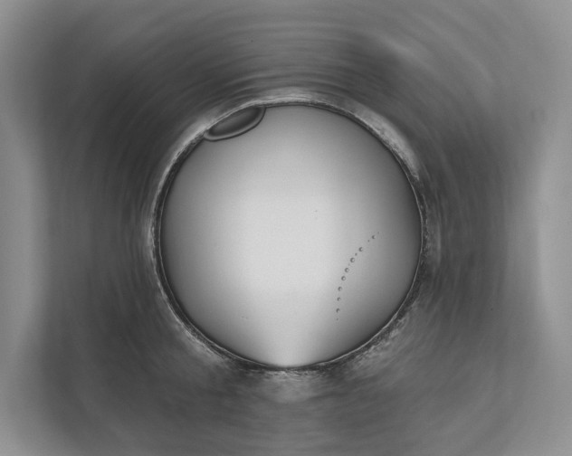 X0000112020805200908171429