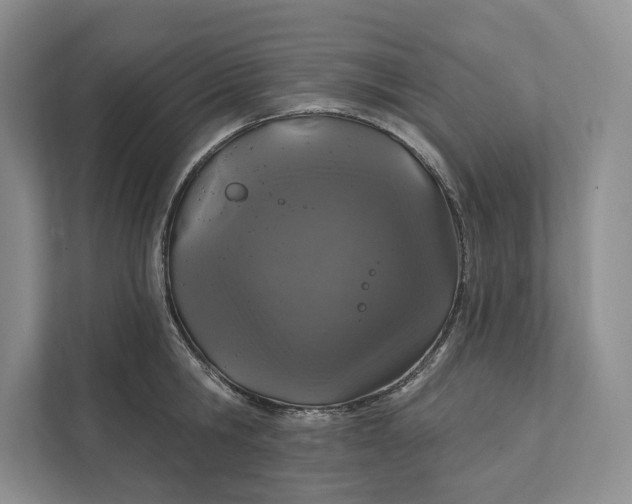 X0000112020806200908171429