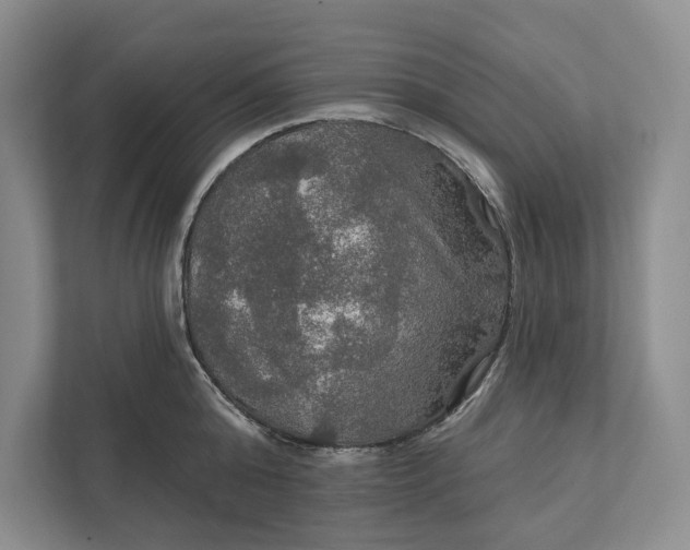 X0000112020808200908171429