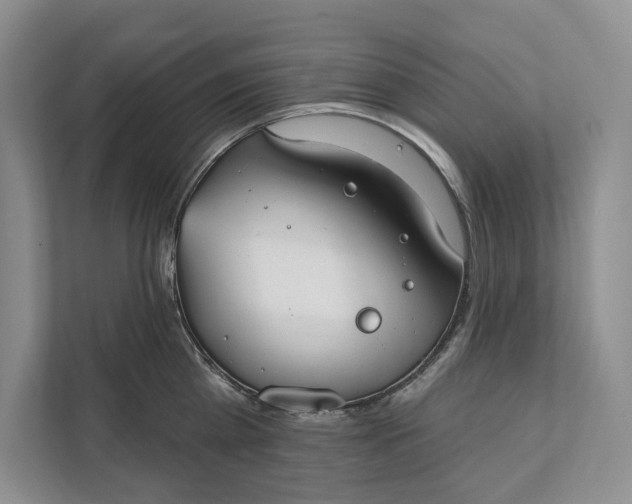 X0000112020809200908171429