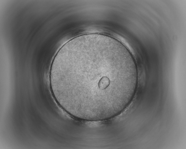 X0000112020810200908171429