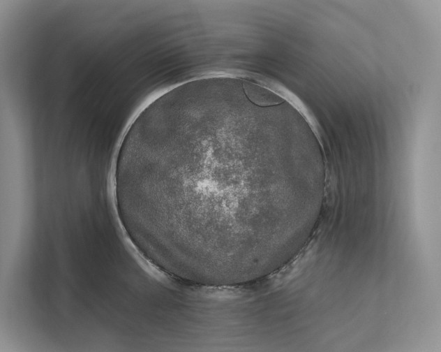 X0000112020811200908171429