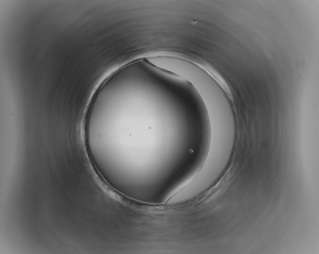 X0000112020813200908171429