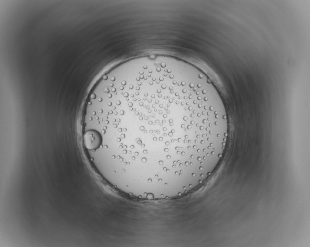 X0000112020814200908171429