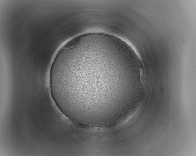 X0000112020815200908171429