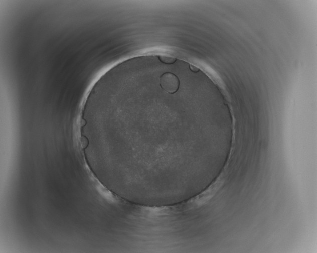 X0000112020816200908171429