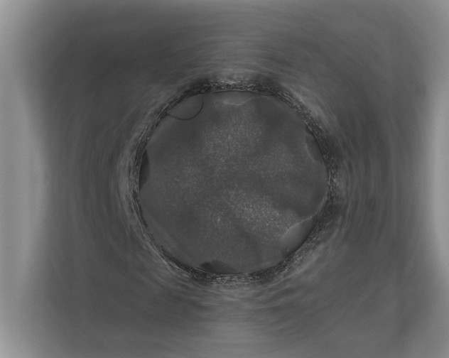 X0000112020817200908171428