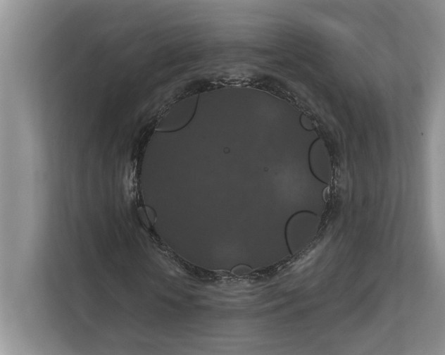 X0000112020818200908171428