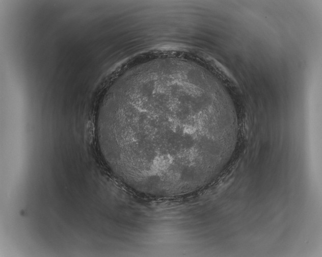 X0000112020821200908171428