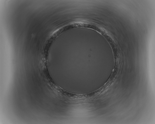 X0000112020822200908171428