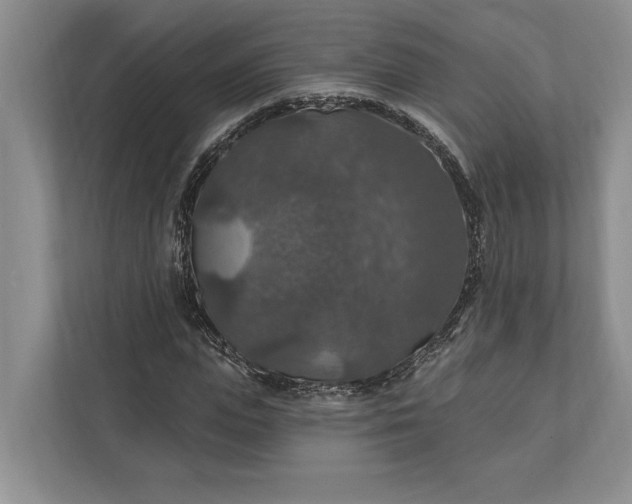 X0000112020823200908171428