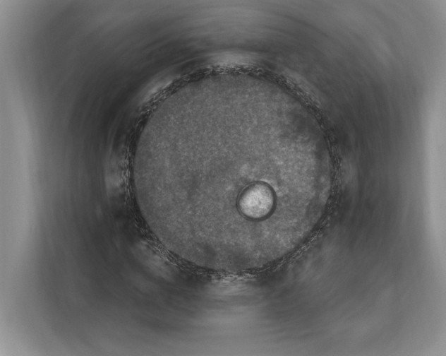 X0000112020824200908171428