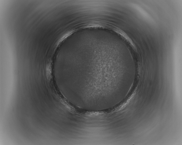 X0000112020826200908171428