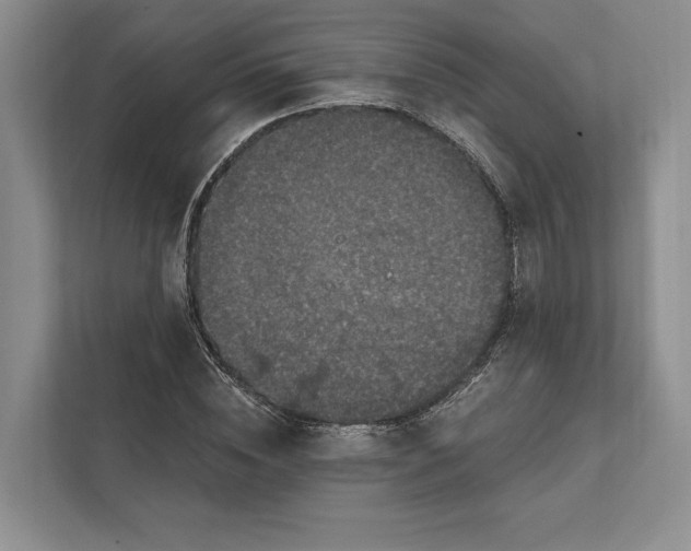 X0000112020828200908171428