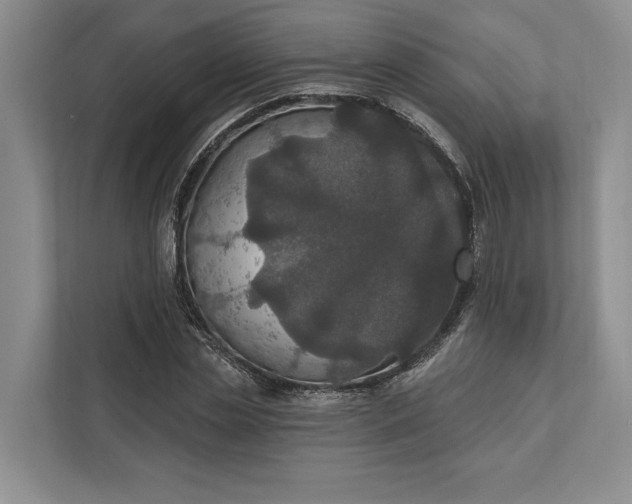 X0000112020829200908171428