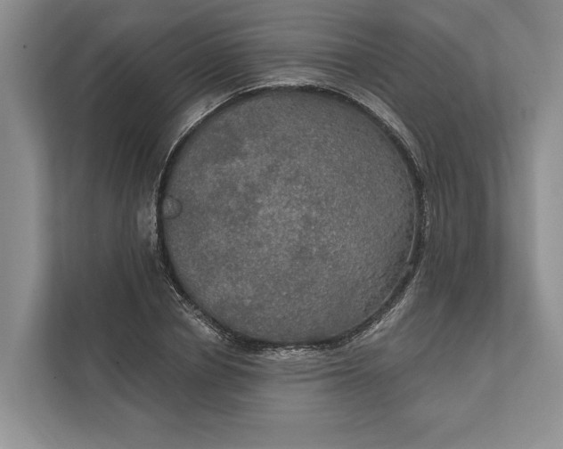 X0000112020834200908171428