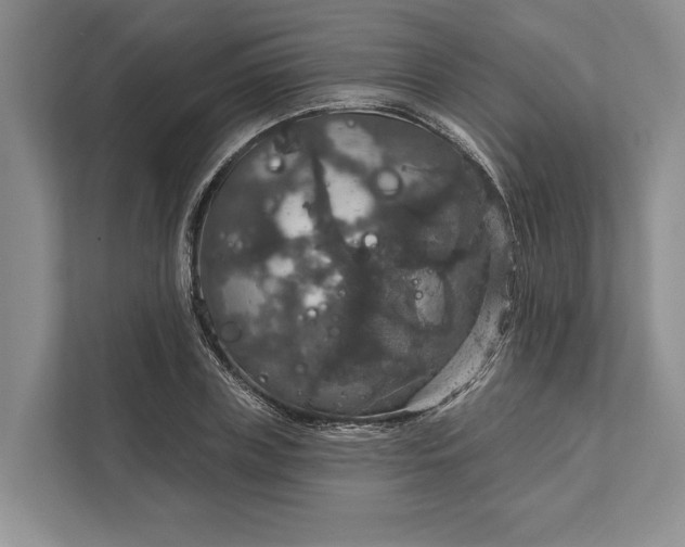 X0000112020835200908171428