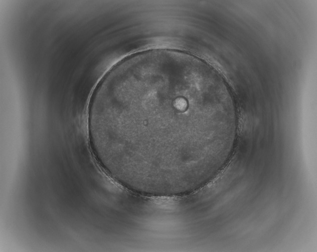 X0000112020836200908171428