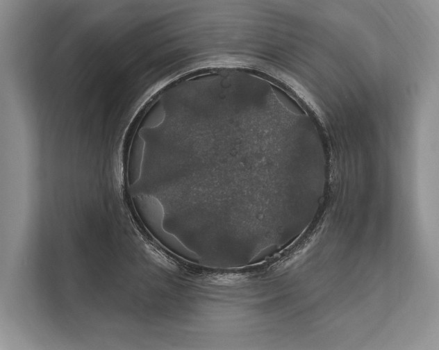 X0000112020837200908171428