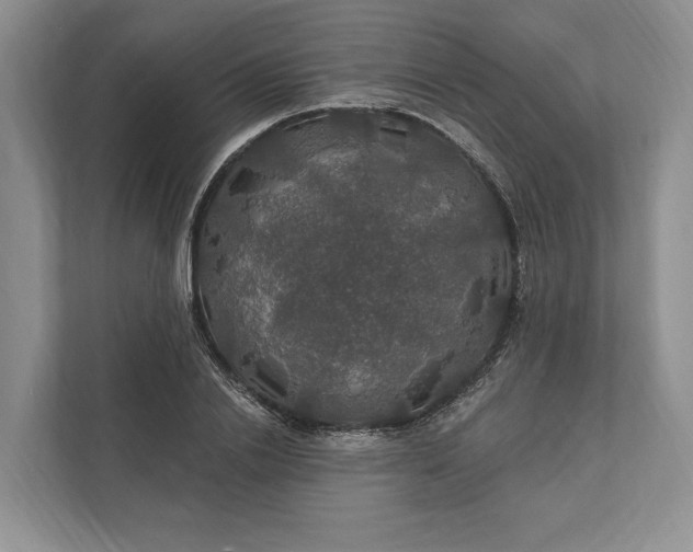 X0000112020838200908171428