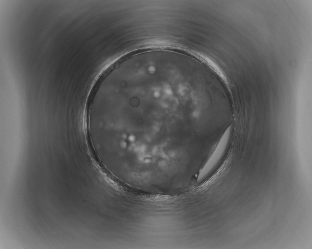 X0000112020839200908171428