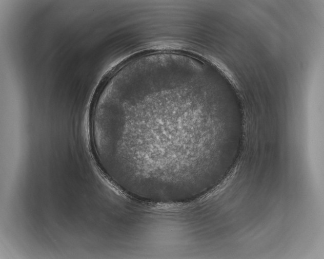 X0000112020840200908171428