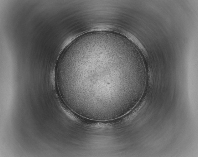 X0000112020842200908171428